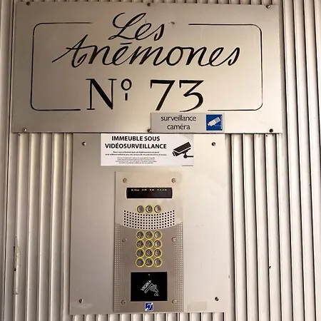 Appt 2p #airconditioning #terrace #center 戛纳